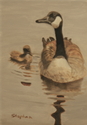 Mother Goose