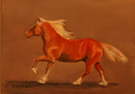 Noble Stallion