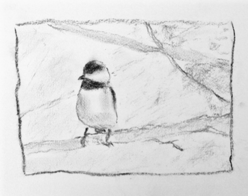 Drawing-Charcoal-Bird on Branch