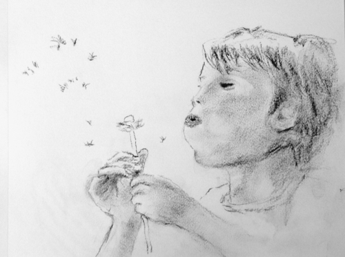 Drawing-Pencil-Blowing a Dandelion
