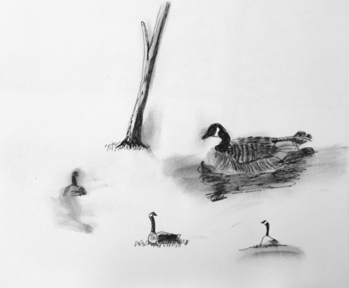Drawing-Ink-Mother Goose