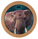 Tricyclopean Elephant