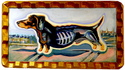 Luminous dachshund