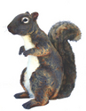 Giant Squirrel of Sumatra