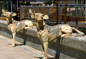 Trainhounds