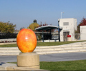 Fruit gigantica (apricot, cherries)