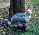 Cabbit