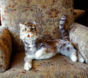 Sabertoothed tabby