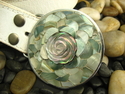 Shell of a Flower Shell%20of%20a%20Flower (thumbnail)
