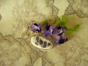 Beautiful Butterfly Beautiful%20Butterfly (thumbnail)