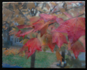 Autumn%20Leaves (thumbnail)