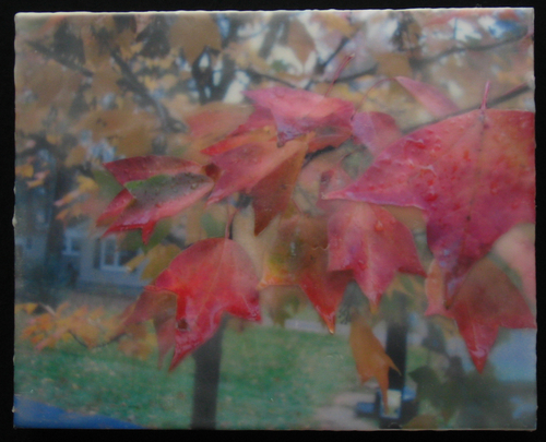 Autumn%20Leaves (large view)