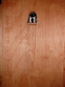 %22Little%20Edie%20At%20Home%20With%20Friends%22%20%20%28%20cover%29. (thumbnail)