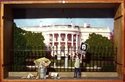 In%20Front%20of%20White%20House (thumbnail)