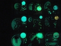 %22From%20Myth%20to%20Reality%22%20%28%20glows%20in%20the%20dark%29. (thumbnail)