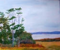 2384 Autumnal Trees 2384%20Autumnal%20Trees (thumbnail)