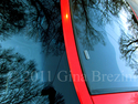 Red%20Lingham (thumbnail)
