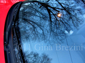 Curves (thumbnail)