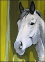 Virginia Cantarella - White Horse Head