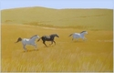 Three Horses Running