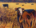 How%20Now%20Brown%20Cow%3F (thumbnail)