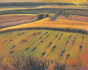 Fields%20Aglow (thumbnail)
