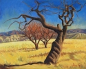 The%20Old%20Apple%20Tree (thumbnail)