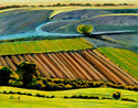 Shavano%20Valley (thumbnail)