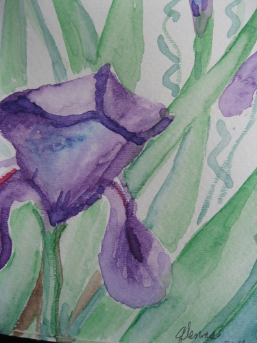Painting-Botanical-Purple Iris#1