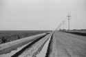 Fields Fields (thumbnail)