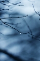 Water%20Droplet%2C%20Blue (thumbnail)
