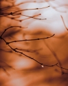 Water%20Droplet%2C%20Orange (thumbnail)