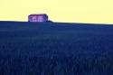 Farmhouse%2C%20Color%20Study (thumbnail)