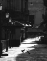 Pescheria (thumbnail)