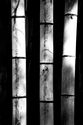 Bamboo%2C%20Three (thumbnail)