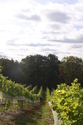 Harvest (thumbnail)