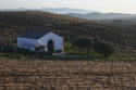 Vineyards (thumbnail)