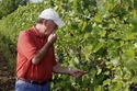 Scott%20Osborn%20checks%20grapes (thumbnail)