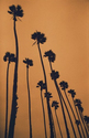 california (santa monica) california%20%28santa%20monica%29 (thumbnail)