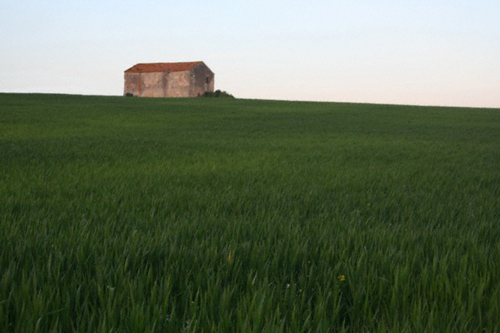 Untitled (large view)