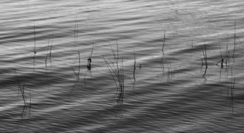 Untitled (thumbnail)