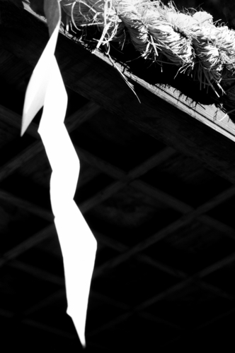 Untitled (large view)
