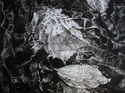 River%20Leaves%20Tumbling (thumbnail)