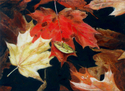Leaves in the River Leaves%20in%20the%20%20River (thumbnail)
