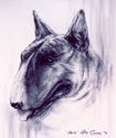 Pavlov Pavlov (thumbnail)