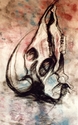 Skull Skull (thumbnail)