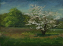 Painting--Oil-LandscapeSpring