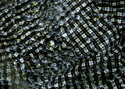 Windows Windows (thumbnail)