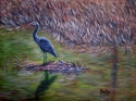Heron Perch
