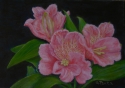 Cluster of Three